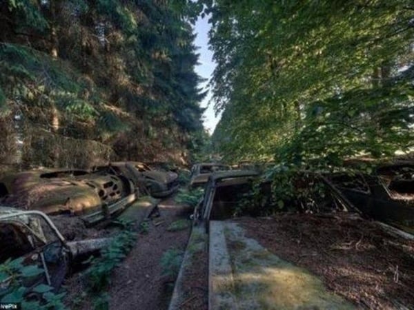 Foto - Dünyanın en büyük araba mezarlığı! Hikayesi çok ilginç!