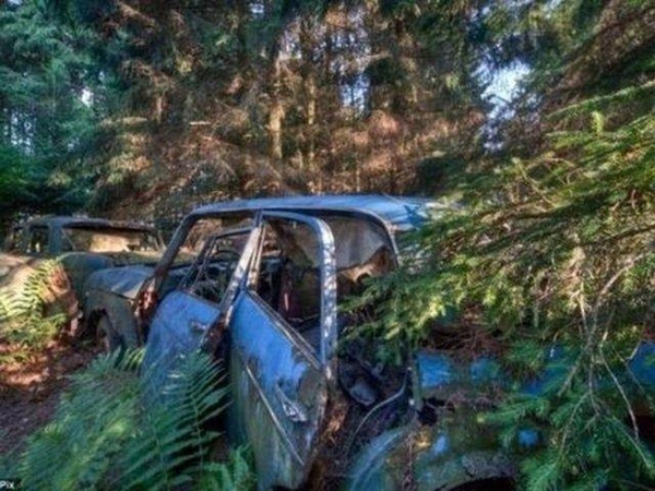 Foto - Dünyanın en büyük araba mezarlığı! Hikayesi çok ilginç!