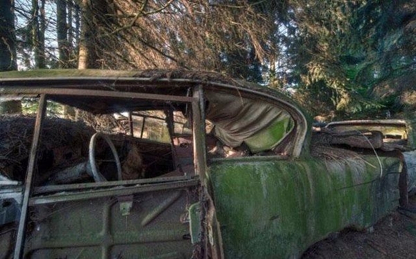 Foto - Dünyanın en büyük araba mezarlığı! Hikayesi çok ilginç!