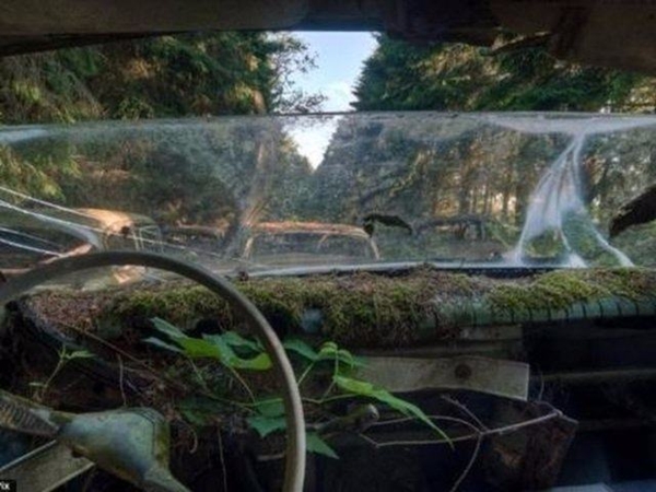 Foto - Dünyanın en büyük araba mezarlığı! Hikayesi çok ilginç!