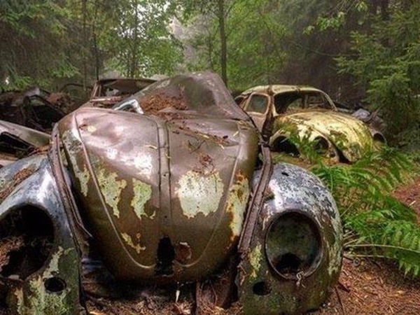 Foto - Dünyanın en büyük araba mezarlığı! Hikayesi çok ilginç!