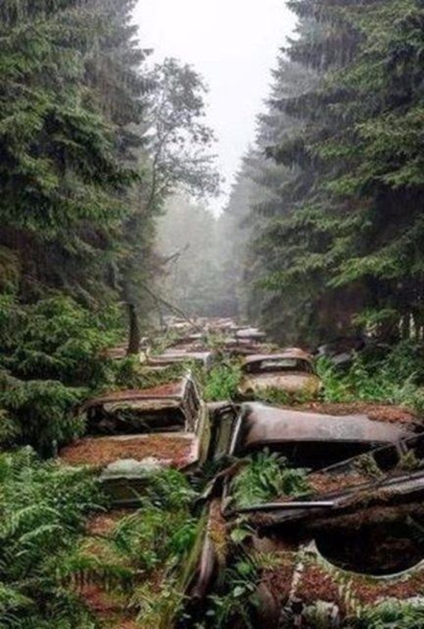 Foto - Dünyanın en büyük araba mezarlığı! Hikayesi çok ilginç!