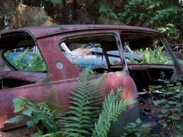 Foto - Dünyanın en büyük araba mezarlığı! Hikayesi çok ilginç!