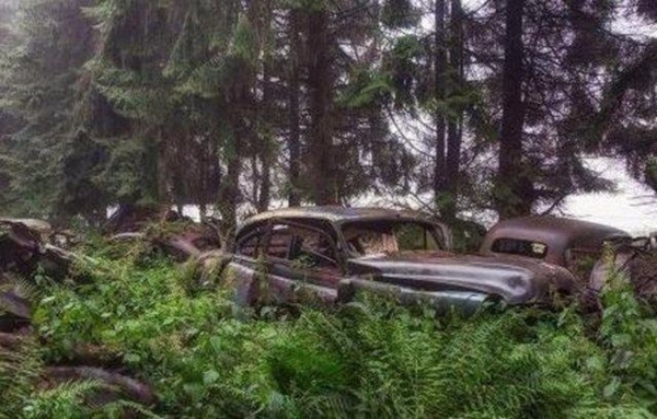 Foto - Dünyanın en büyük araba mezarlığı! Hikayesi çok ilginç!