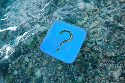 Foto - Dünyanın en büyük canlısını merak ediyor musunuz? Hayır; ne balina ne de dinazor! Denizin altında yaşıyor ve 4 bin 500 yaşında!