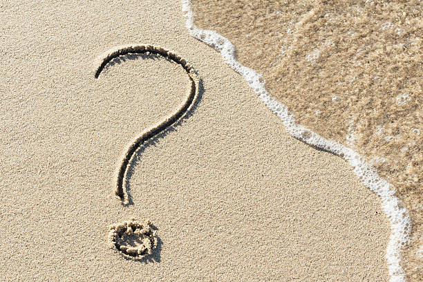 Foto - Dünyanın en büyük canlısını merak ediyor musunuz? Hayır; ne balina ne de dinazor! Denizin altında yaşıyor ve 4 bin 500 yaşında!