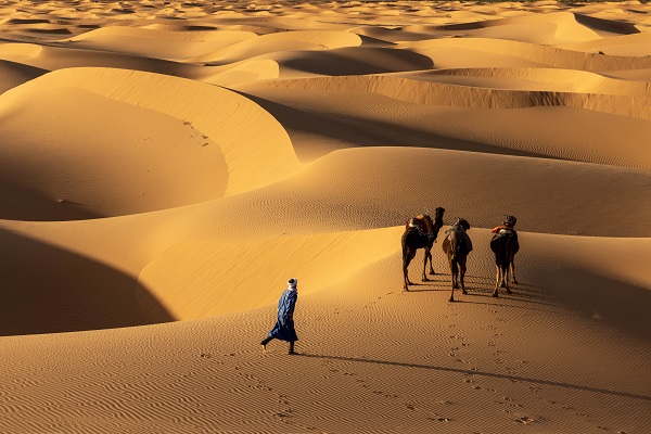 Foto - Dünyanın en büyük çölü: Büyük Sahra