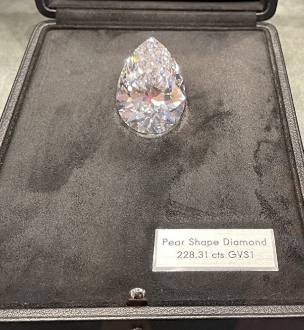 Foto - Dünyanın en büyük elması yeni sahibini buldu! 