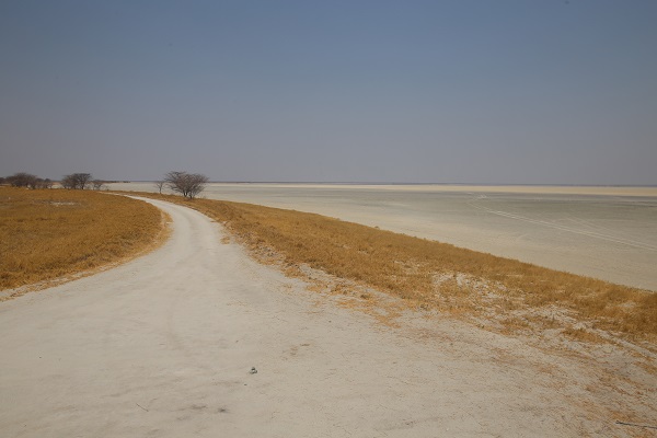 Foto - Dünyanın en büyük tuzlası: Makgadikgadi