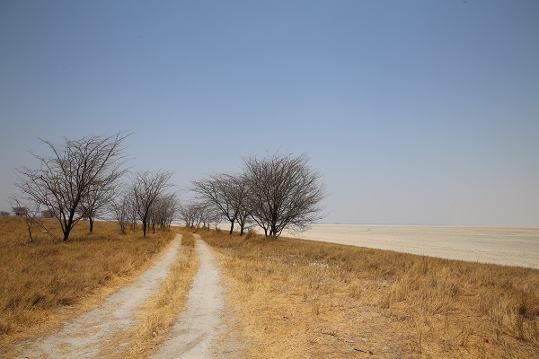 Foto - Dünyanın en büyük tuzlası: Makgadikgadi