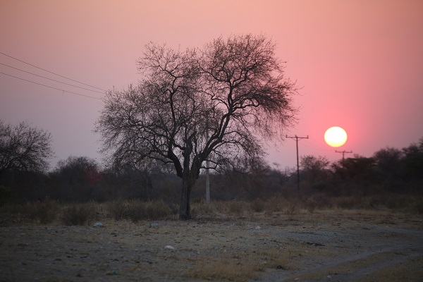 Foto - Dünyanın en büyük tuzlası: Makgadikgadi