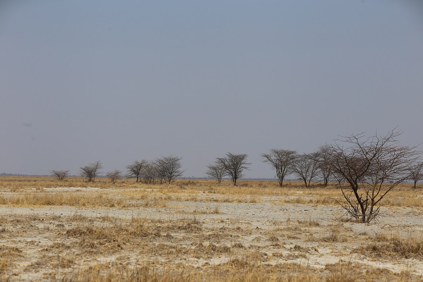 Foto - Dünyanın en büyük tuzlası: Makgadikgadi
