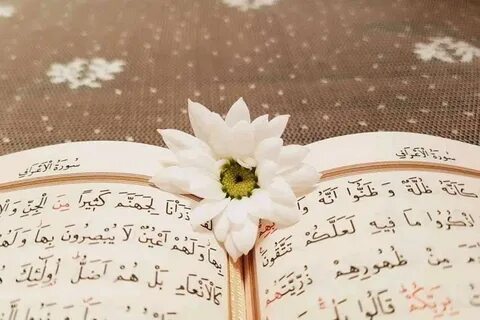 Foto - Dünyanın en çok kitap okuyan ülkeleri belli oldu! İşte Türkiye'nin sıralamadaki yeri...