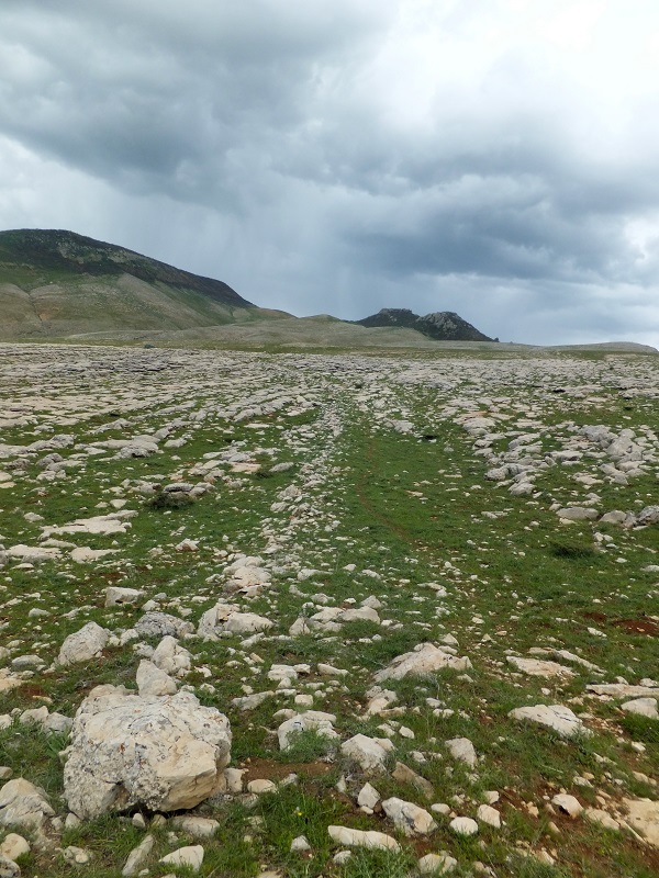 Foto - Dünyanın en eski yolu! 3 bin yıllık yol Türkiye'de keşfedildi
