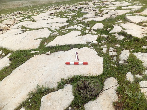 Foto - Dünyanın en eski yolu! 3 bin yıllık yol Türkiye'de keşfedildi