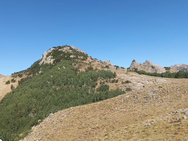 Foto - Dünyanın en eski yolu! 3 bin yıllık yol Türkiye'de keşfedildi