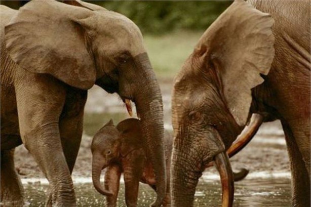 Foto - Dünyanın en fakir ülkeleri