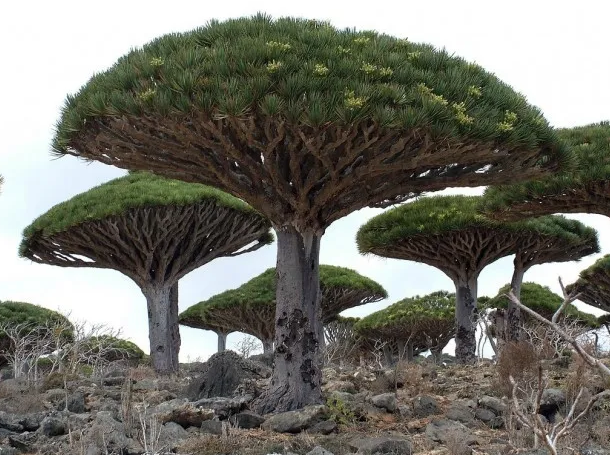 Foto - Dünyanın En Gizemli Yerleri
