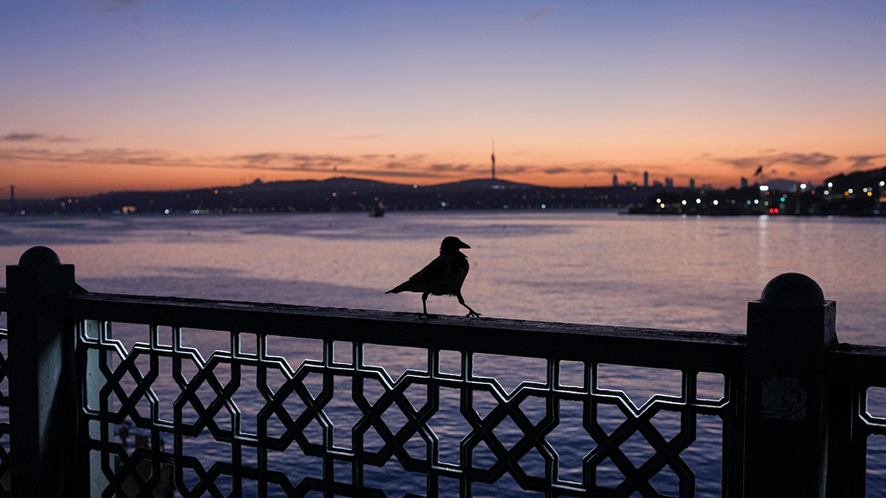 Foto - Dünyanın en güzel şehri İstanbul'da doyumsuz görüntü