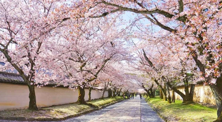 Foto - Dünyanın en güzel sokakları