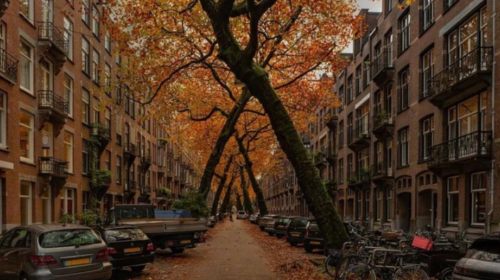 Foto - Dünyanın en güzel sokakları