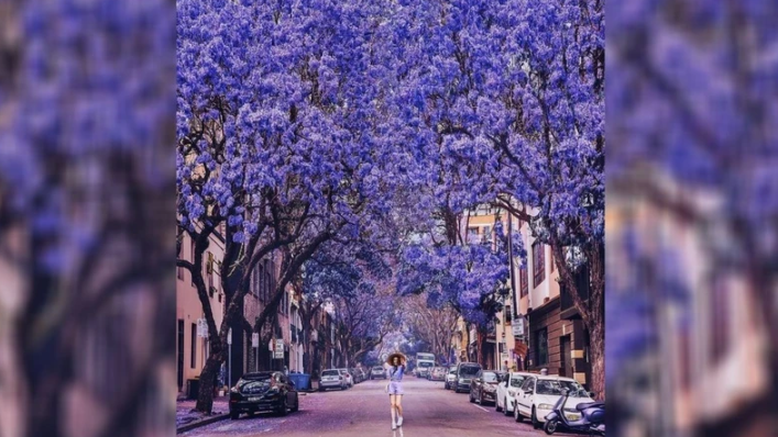 Foto - Dünyanın en güzel sokakları