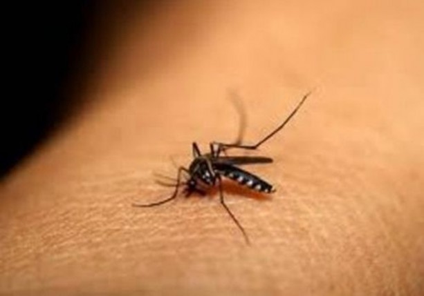 Foto - Dünyanın en ilginç bilgileri