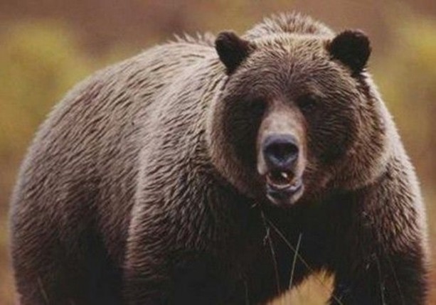 Foto - Dünyanın en ilginç bilgileri