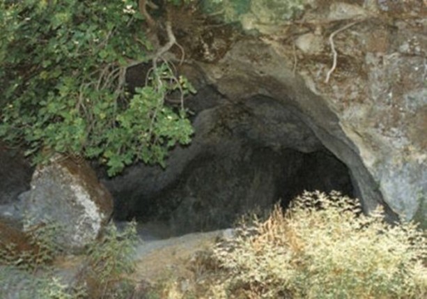 Foto - Dünyanın en ilginç bilgileri