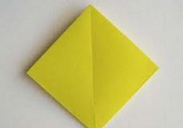 Foto - Dünyanın en ilginç bilgileri