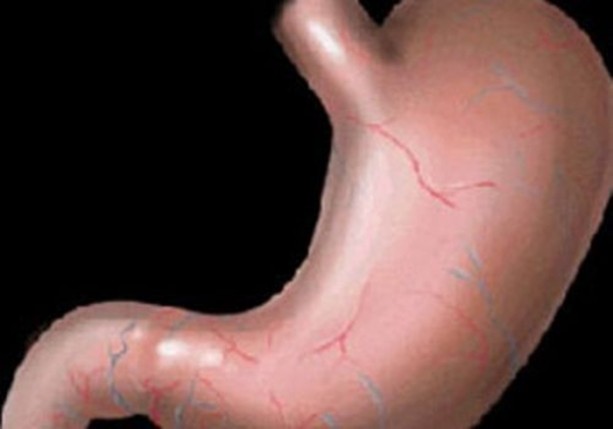 Foto - Dünyanın en ilginç bilgileri