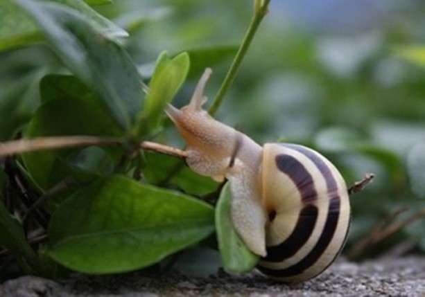 Foto - Dünyanın en ilginç bilgileri