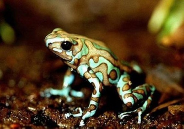 Foto - Dünyanın en ilginç bilgileri