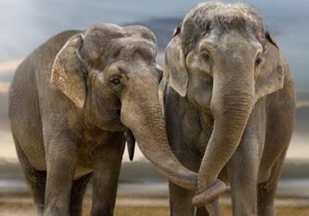 Foto - Dünyanın en ilginç bilgileri