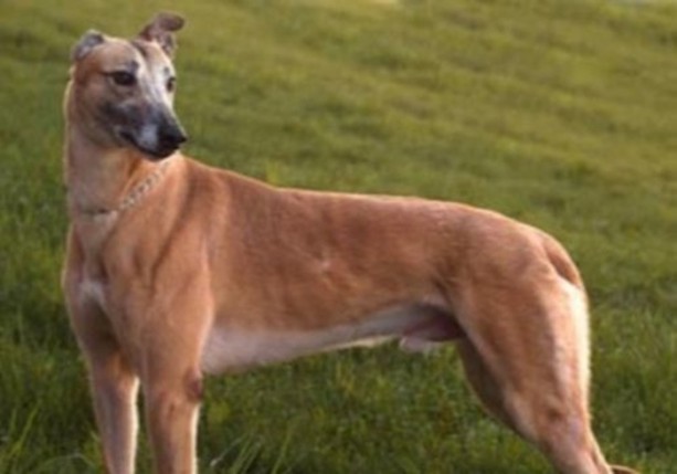 Foto - Dünyanın en ilginç bilgileri