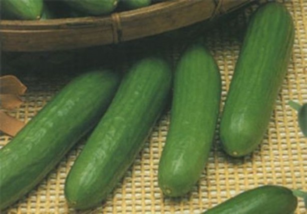 Foto - Dünyanın en ilginç bilgileri