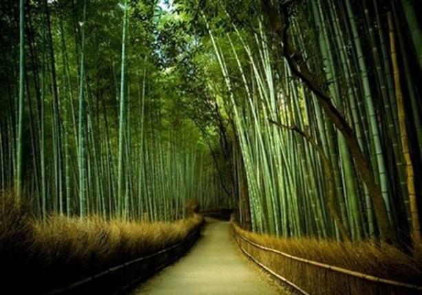 Foto - Dünyanın en ilginç bilgileri