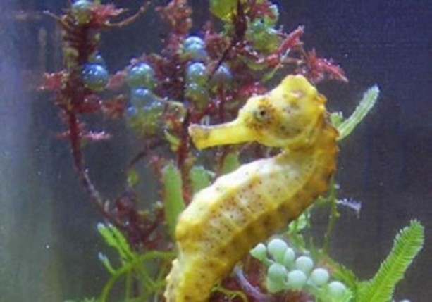 Foto - Dünyanın en ilginç bilgileri