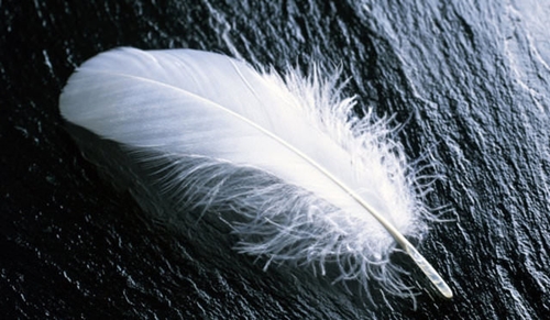 Foto - Dünyanın en ilginç fobileri