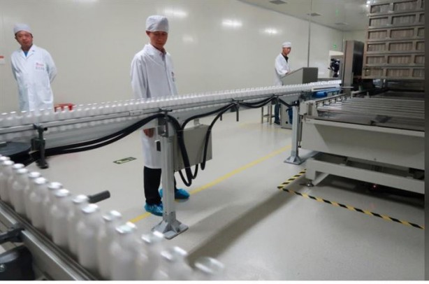 Foto - Dünyanın en ilginç mesleği: Hamamböceği yetiştiriciliği 