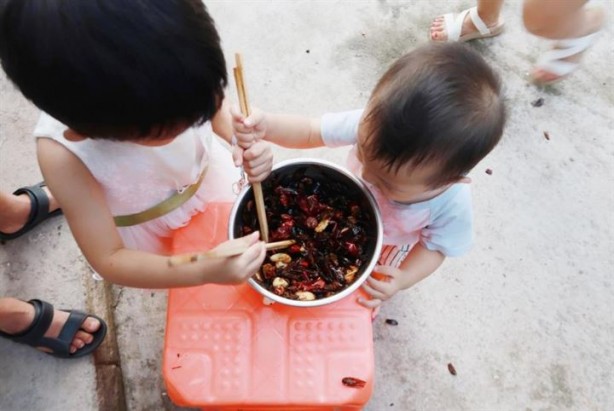 Foto - Dünyanın en ilginç mesleği: Hamamböceği yetiştiriciliği 
