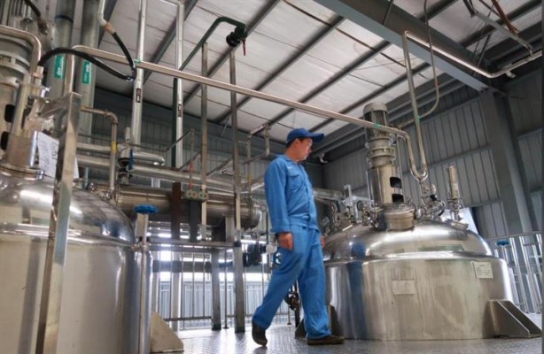 Foto - Dünyanın en ilginç mesleği: Hamamböceği yetiştiriciliği 