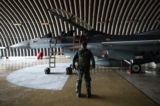 Foto - Dünyanın en iyi şahinleri burada yetişiyor