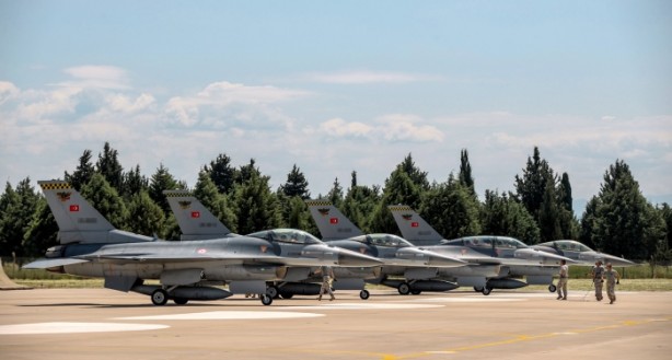 Foto - Dünyanın en iyi şahinleri burada yetişiyor