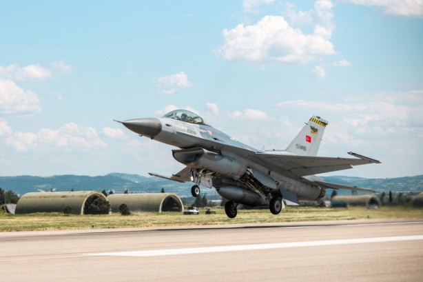 Dünyanın en iyi şahinleri burada yetişiyor