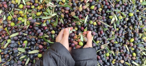 Foto - Dünyanın en kalitelisi burada! Ne yağmur ne de çamur onları durduruyor