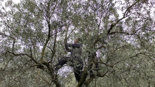 Foto - Dünyanın en kalitelisi burada! Ne yağmur ne de çamur onları durduruyor