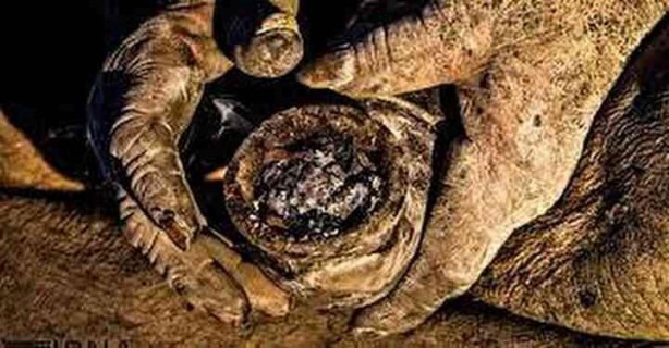 Foto - Dünyanın en kirli adamı