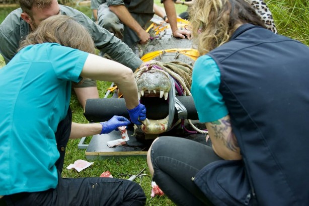 Foto - Dünyanın en korkunç 11 mesleği belli oldu!