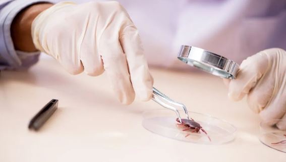 Foto - Dünyanın en korkunç 11 mesleği! Kimisini hiç duymamış olabilirsiniz...